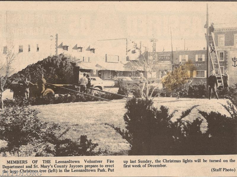 1969: Department places Christmas tree in lower park. A tradition that started in 1933 and continues today.